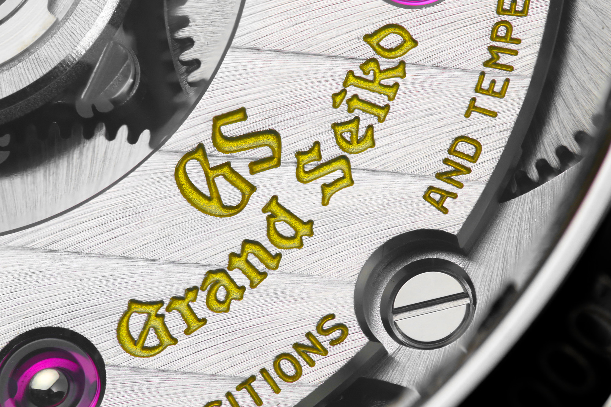 Macro detail of Grand Seiko logo on 9SA5 caliber.